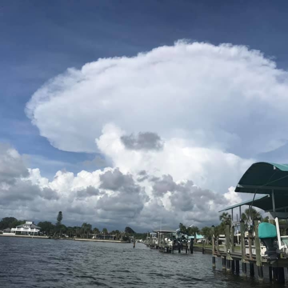 Meet your Posher, Paige